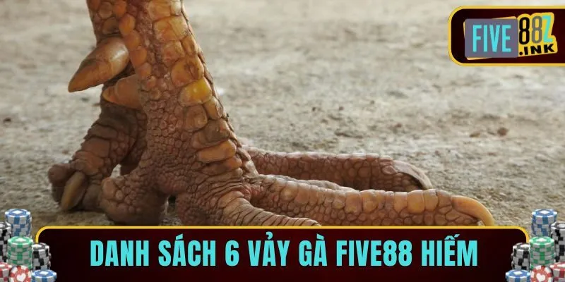 các loại vảy gà five88