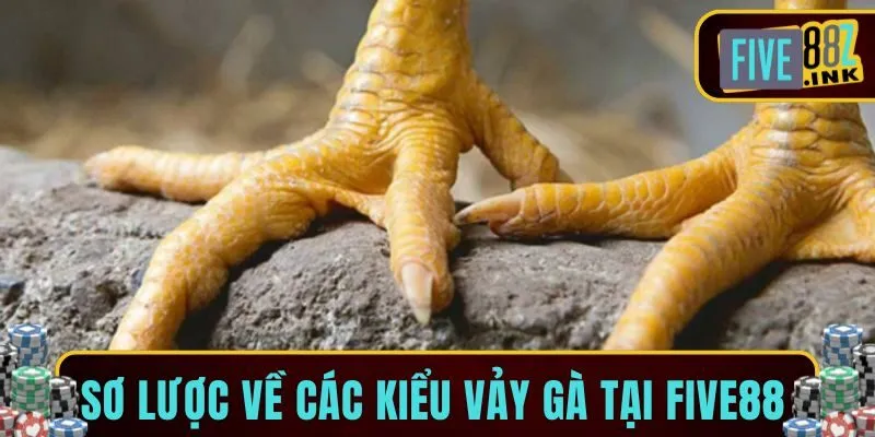 các loại vảy gà five88