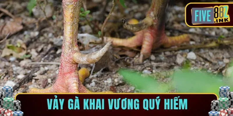 các loại vảy gà five88