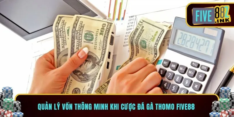 đá gà thomo five88