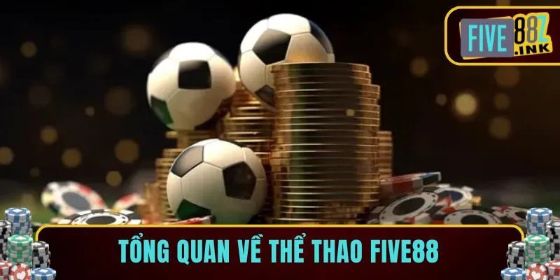 thể thao five88